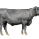 Illustration for article titled Happy Cows Happy Peopleem/em
